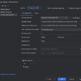 idea_tomcat_config