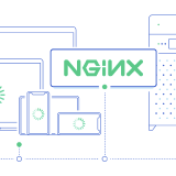 nginx