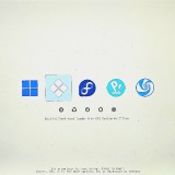 refind_regular_theme